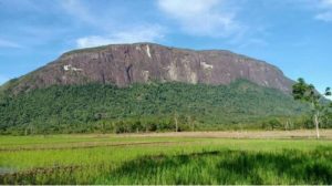 Martin Nandung Sebut Lahan Sawah Potensial di Sintang, Namun Belum Dioptimalkan