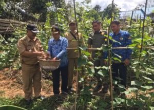 Camat Kayan Hulu Ajak Masyarakat Manfaatkan Pekarangan Rumah Untuk Menanam Sayur
